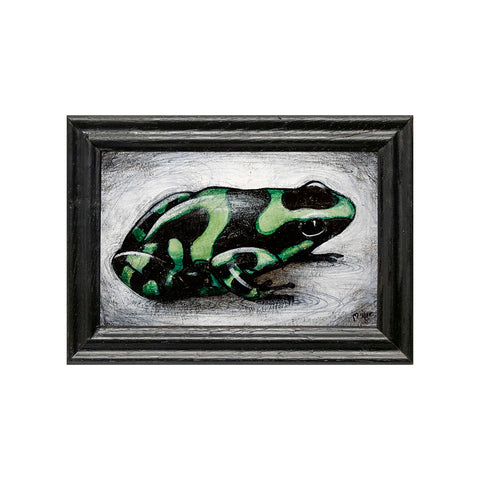Image of Green Frog by Justin D. Miller