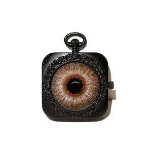Brown Eye in Clock Portal