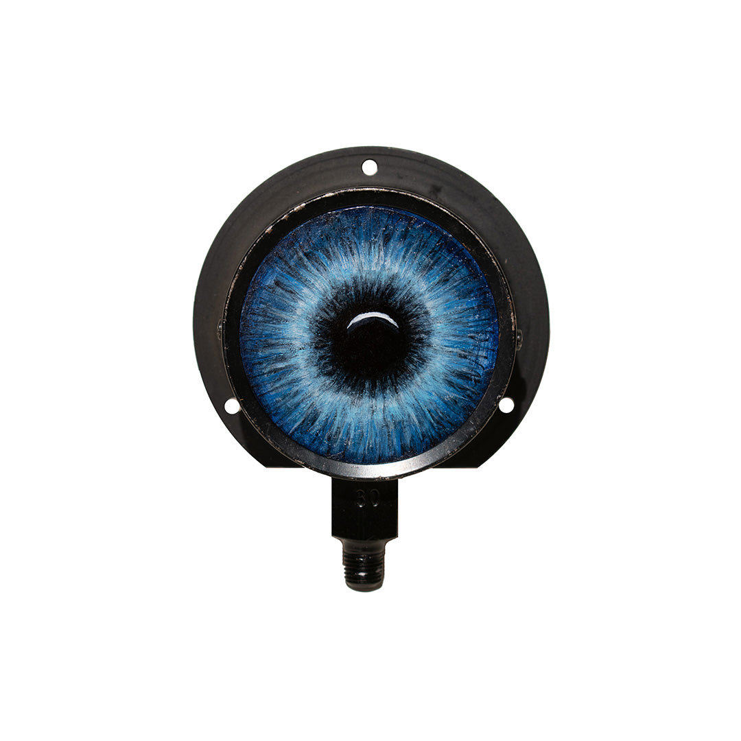 Blue Eye in Metal Portal