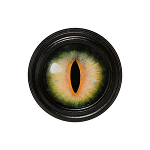 Image of Yellow Slit Eye by Justin D. Miller