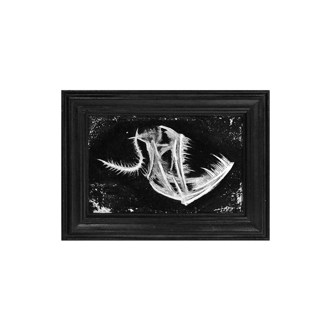 Image of Anglerfish Skeleton by Justin D. Miller