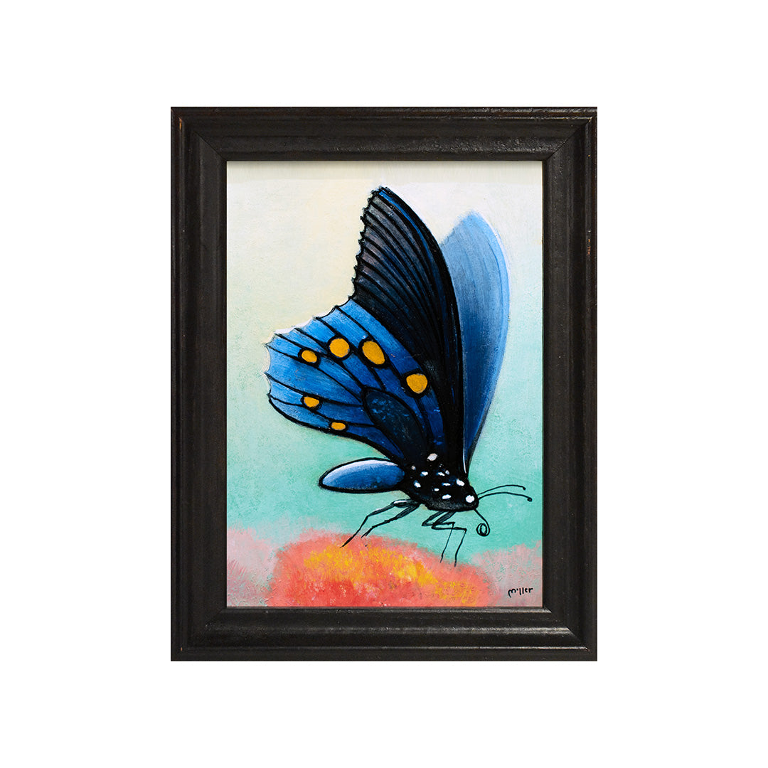 Image of Blue Butterfly by Justin D. Miller