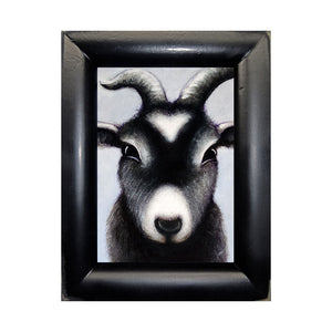 Image of Goat Portrait by Justin D. Miller