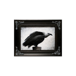 Sitting Vulture by Justin D Miller
