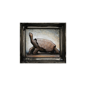 Tortoise by Justin D Miller