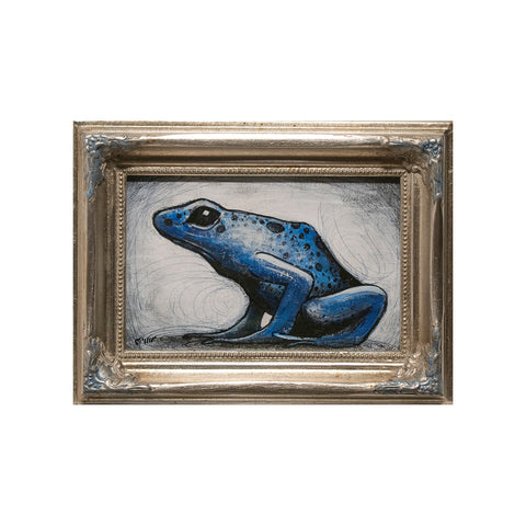 Image of Blue Frog by Justin D. Miller