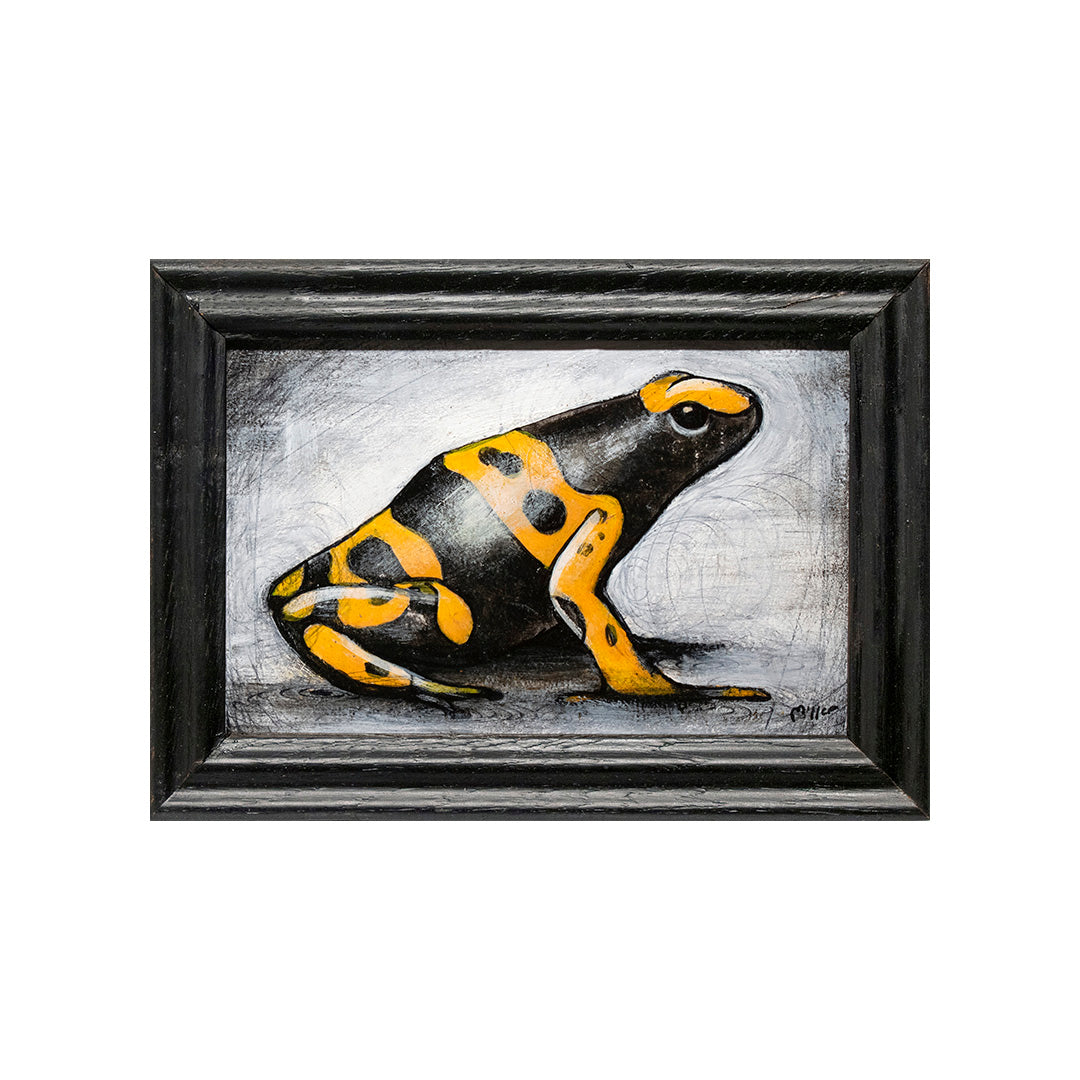 Yellow Frog by Justin D Miller