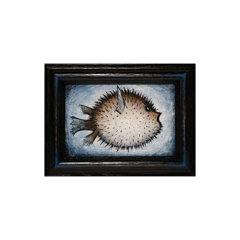 Image of Puffer Fish by Justin D. Miller