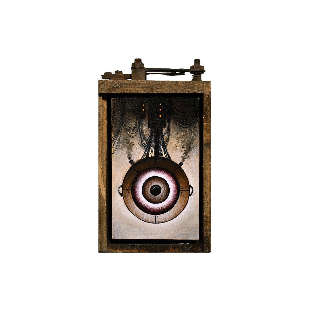 Image of Small Eye Box #1 by Justin D. Miller