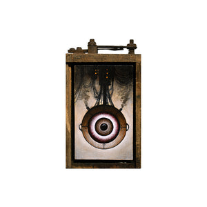 Image of Small Eye Box #1 by Justin D. Miller
