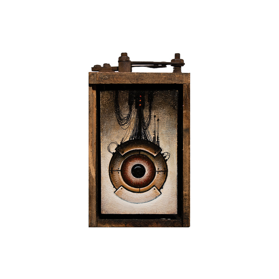 Image of Small Eye Box #2 by Justin D. Miller