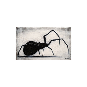 Image of Spider Profile by Justin D. Miller